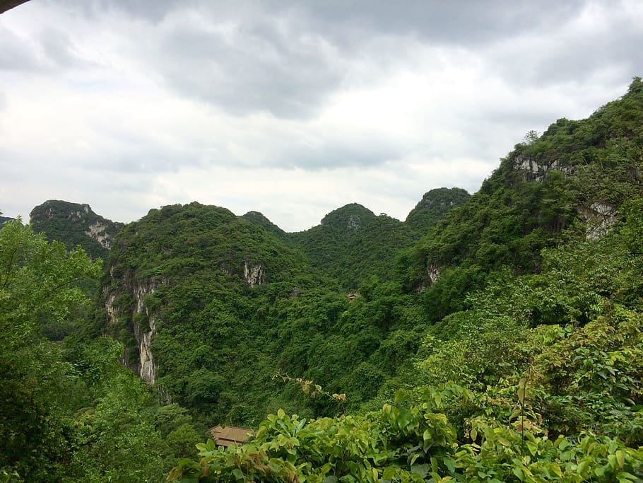 mountain, tree, green, plant, cloud - sky, green color, beauty in nature HD wallpaper