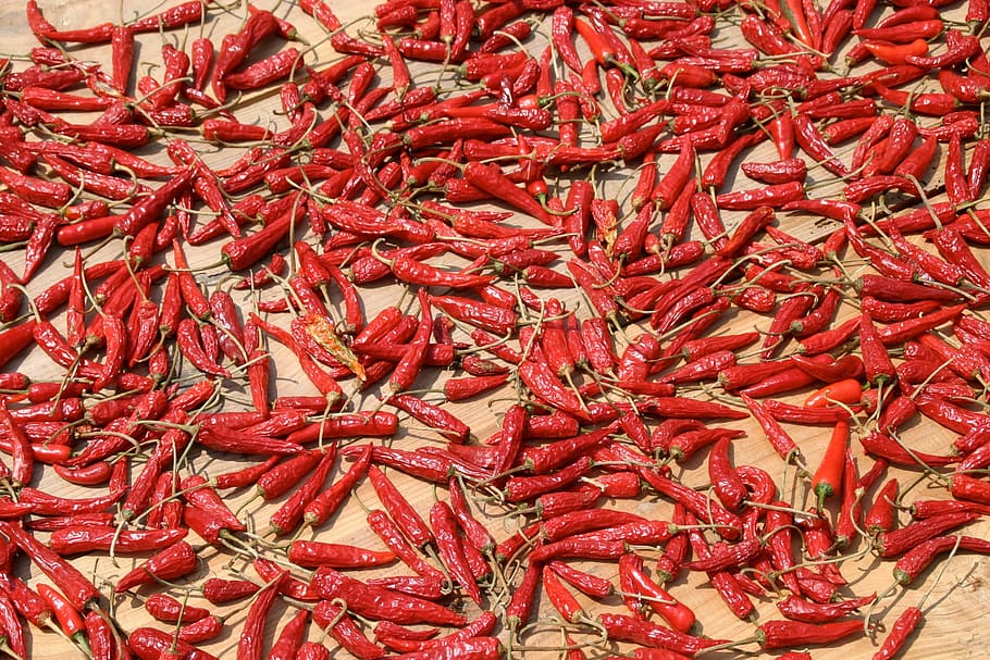 Spice, Sharp, Chili Peppers, Eat, pepperoni, sharpness, red HD wallpaper
