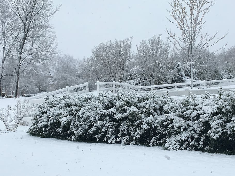 Snow, Winter, Snowfall, Nature, White, landscape, cold temperature HD wallpaper