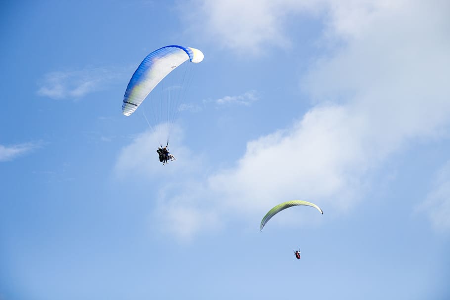skydiving, parachuting, fly, flying, outdoor, activity, adventure HD wallpaper