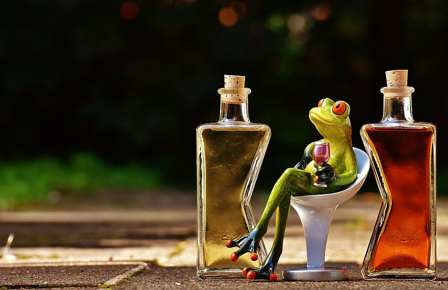 frogs, chick, beverages, bottles, alcohol, figures, drink, benefit from HD wallpaper