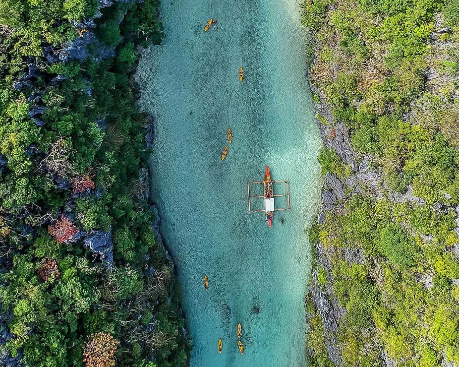 aerial view of boat on body of water between trees during daytime, boat between trees on body of water HD wallpaper