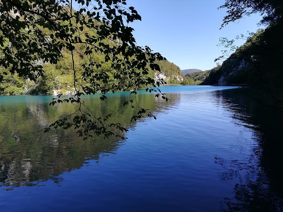 waters, nature, tree, lake, plant, beauty in nature, scenics - nature HD wallpaper