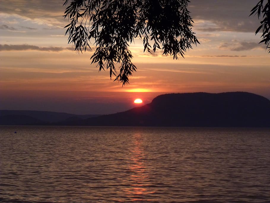 Lake Balaton, Sunset, Badacsony, landscape, nature, seagull, HD wallpaper