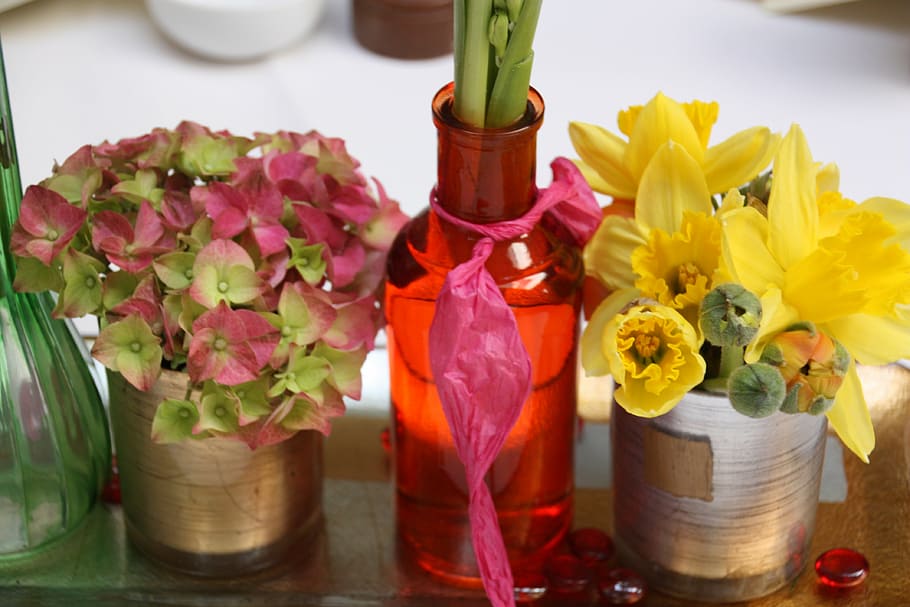 table decorations, flowers, colors, bottle, potty, jar, flowering plant HD wallpaper