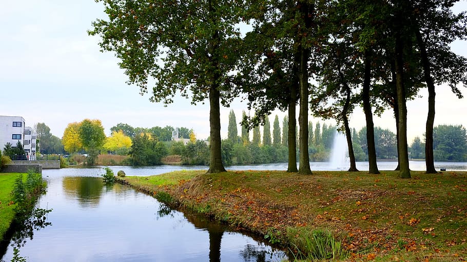Green Grass Field, landscape, park, placid, river, trees, water HD wallpaper
