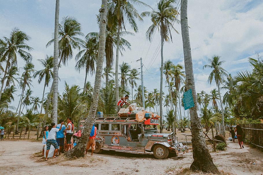 man on top of jeepny, people standing near silver wrangler under coconut tree, HD wallpaper