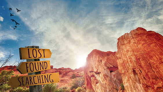 Lost Found Searching wooden signage and brown rock structure HD wallpaper