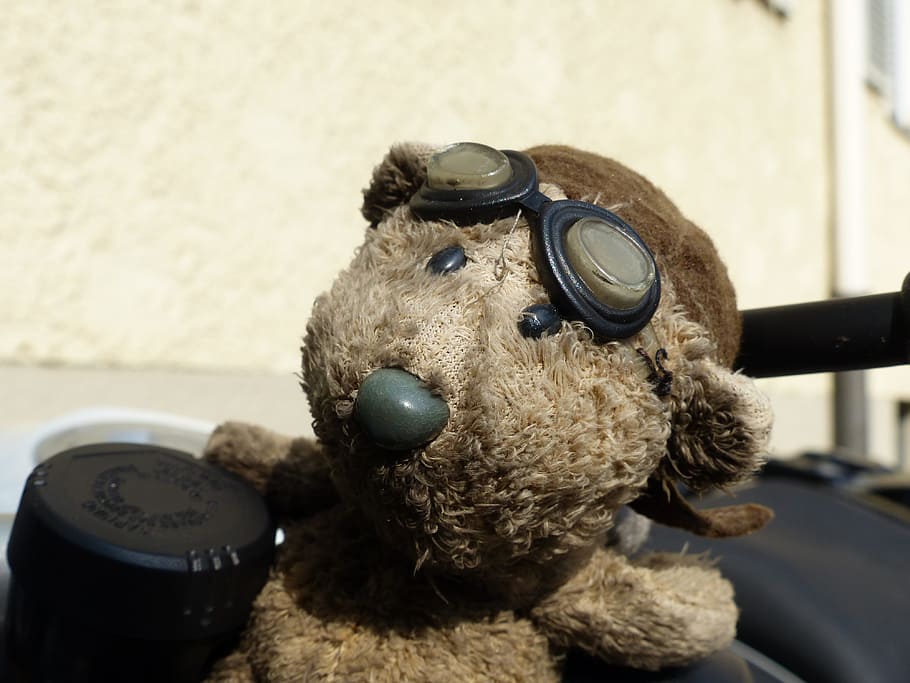 Bear, Motorcycle, Glasses, remove before flight, brown, vintage HD wallpaper