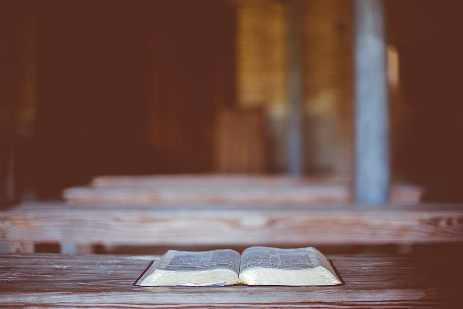 selective focus photo of opened book on brown wooden surface HD wallpaper