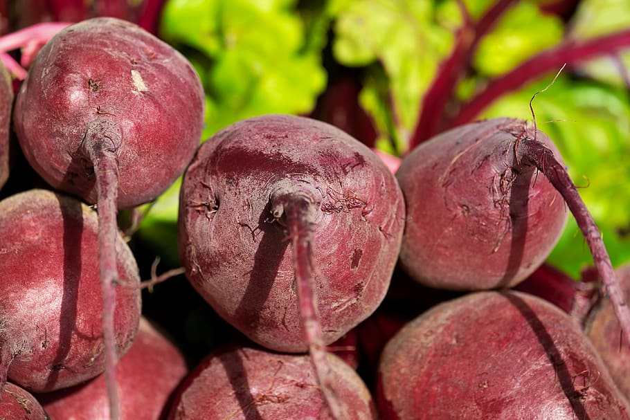 close-up photography of turnips, beetroot, vegetables, healthy HD wallpaper
