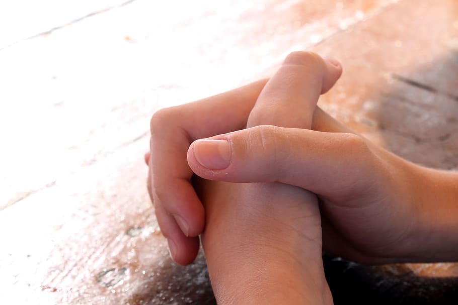 human hands, praying, prayer, application, hands clasped, human body part HD wallpaper