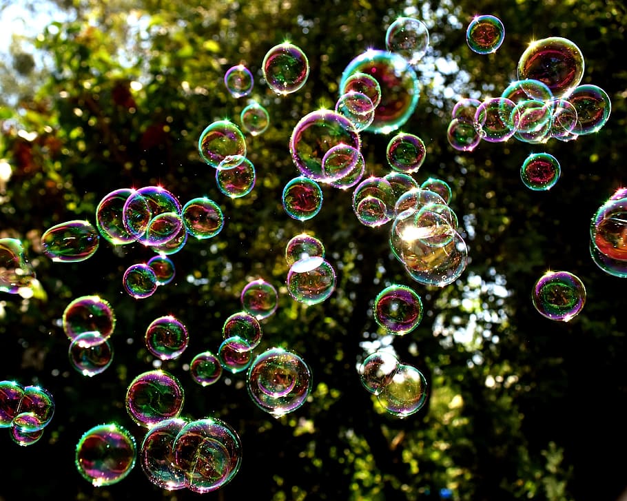 selective focus photography of bubbles outdoor, Soap Bubbles