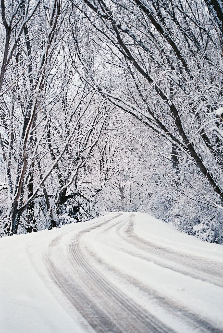 snow covered road between trees, snow roadway, forest, mountain HD wallpaper