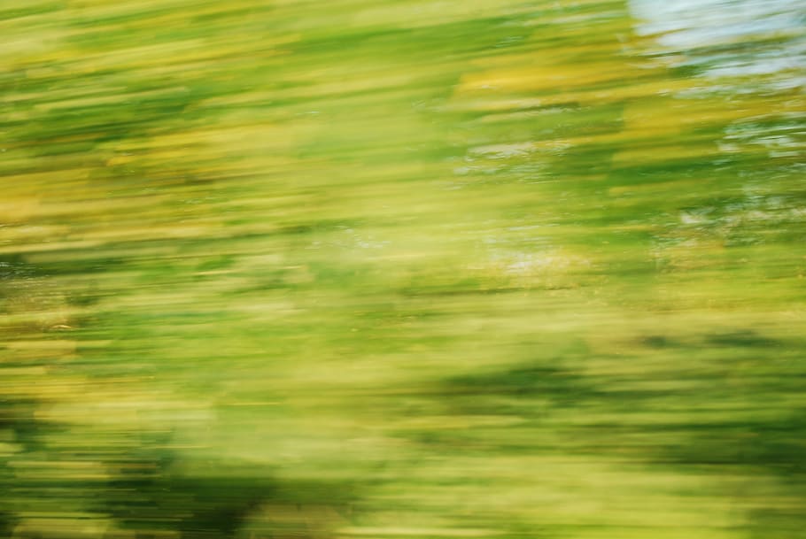 speed, colors, rush, trees, green color, backgrounds, blurred motion HD wallpaper