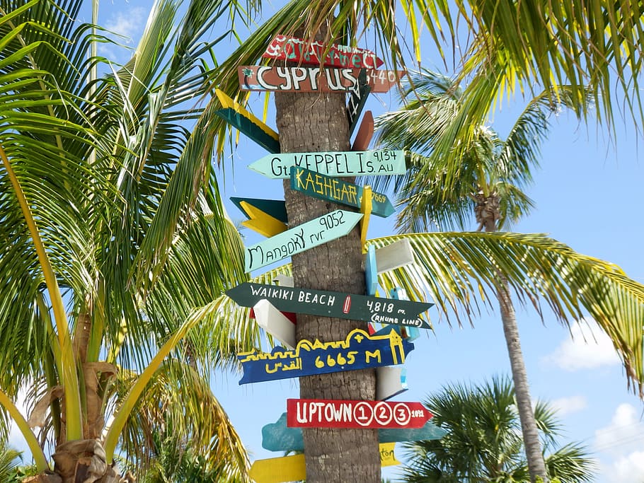 Florida, Easy, keeps, easy-going, directional arrows, palm trees HD wallpaper