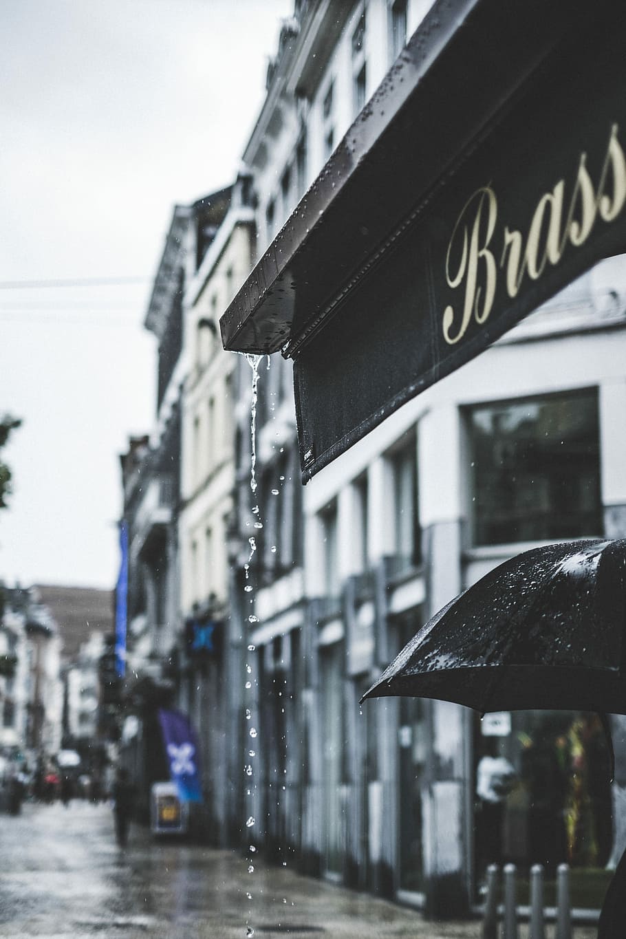 selective focus photography of water droplets from awning, close up photography of black Brass signboard HD wallpaper