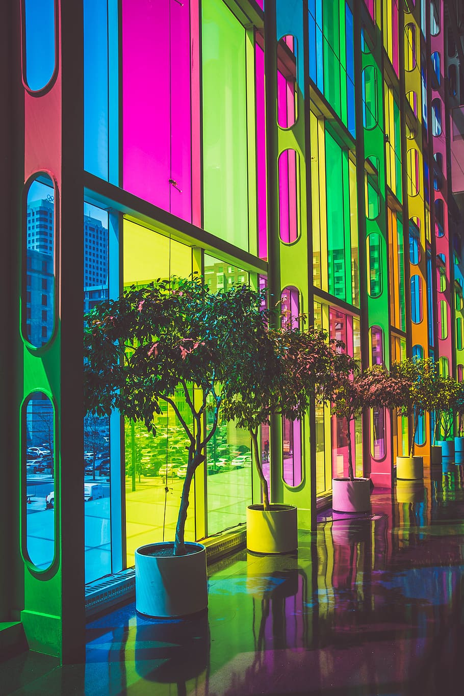 photo of green leafed plants inside building, multicolored glass building HD wallpaper