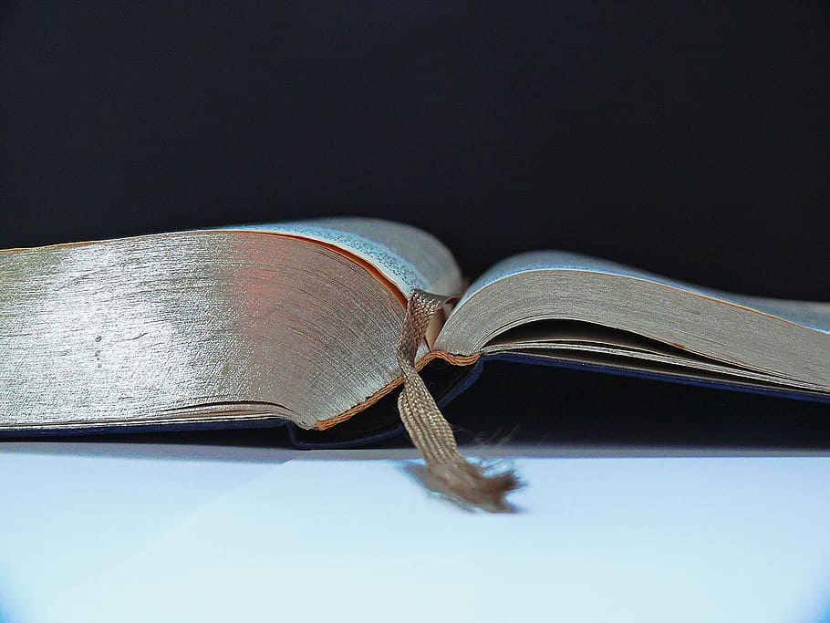 brown strap book mark, bible, holy scripture, eager read, letters HD wallpaper