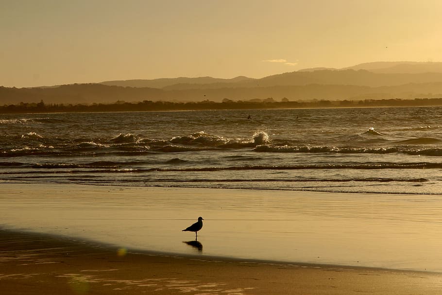 sunset, beach surf, water, sea, ocean, sky, nature, outdoors HD wallpaper