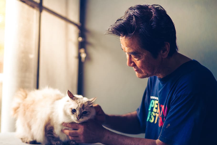 man holding cat, Pet, Animal, Cute, Portrait, adorable, fluffy HD wallpaper
