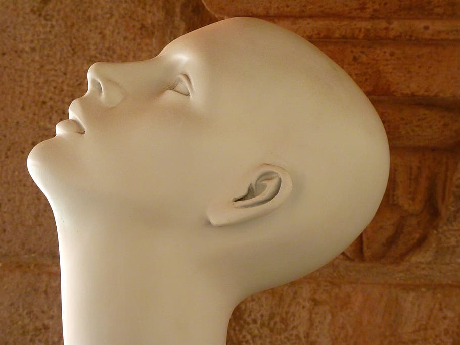 white human head mannequin, face, bald head, display dummy HD wallpaper