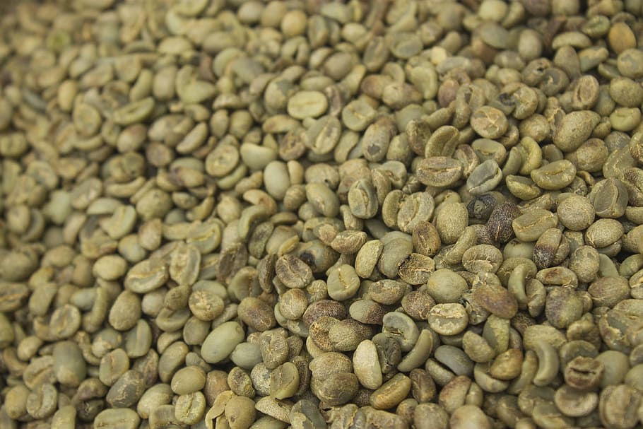 seed coffee not in shell dried, grain, mosaic, background, the same, HD wallpaper