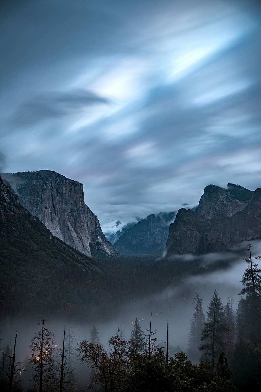 photography of trees and mountain under white sky, tree at distance to mountains during fog HD wallpaper