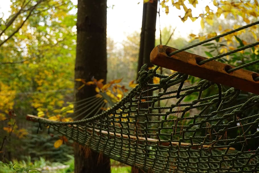 hammock, fall, close up, nature, outside, autumn, leisure, lifestyle HD wallpaper