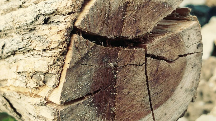 log, cracked, bark, sawn, timber, lumber, textures, nature HD wallpaper