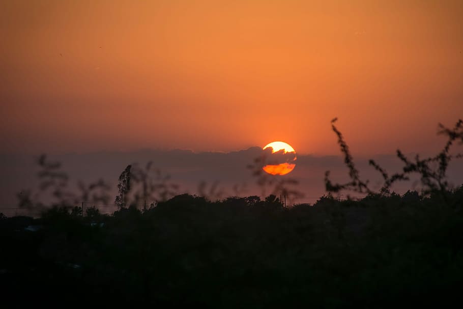 sunset, dawn, silhouette, sky, nature, tree, landscape, outdoors HD wallpaper