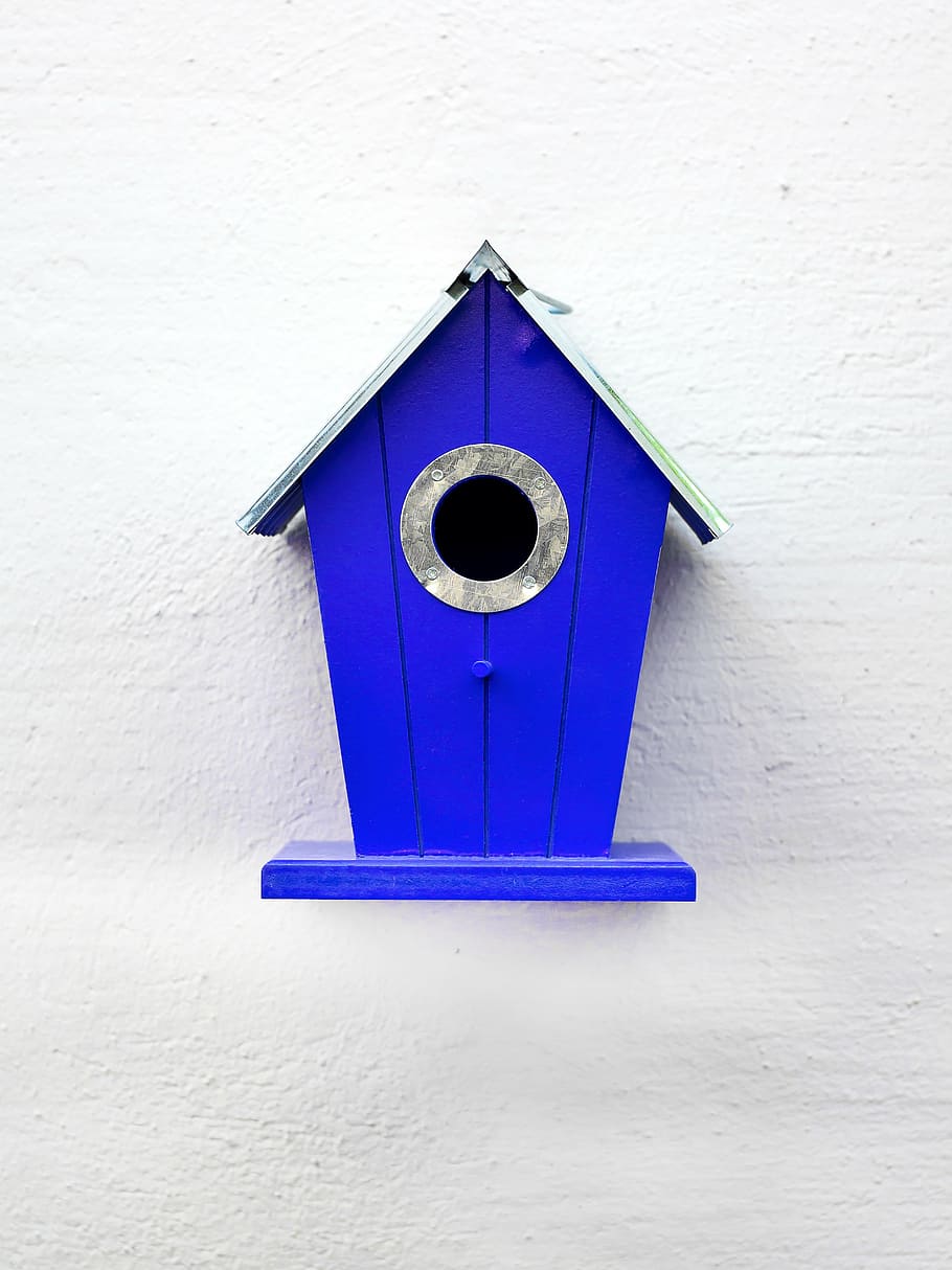 aviary, blue, birds, nesting place, bird feeder, incubator HD wallpaper