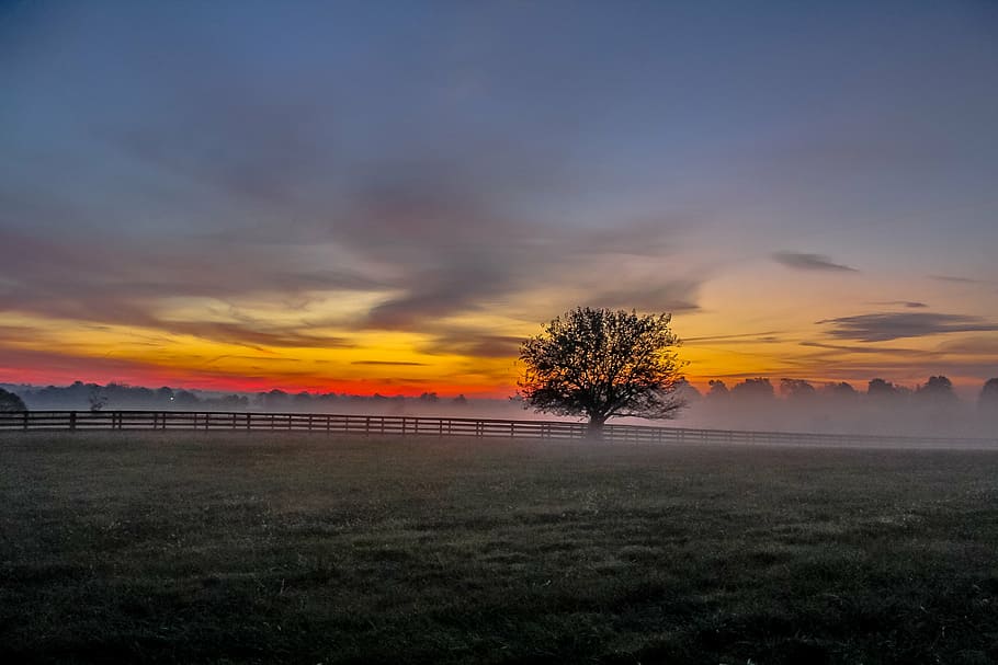 clouds, countryside, dawn, dusk, evening, fall, field, grass HD wallpaper