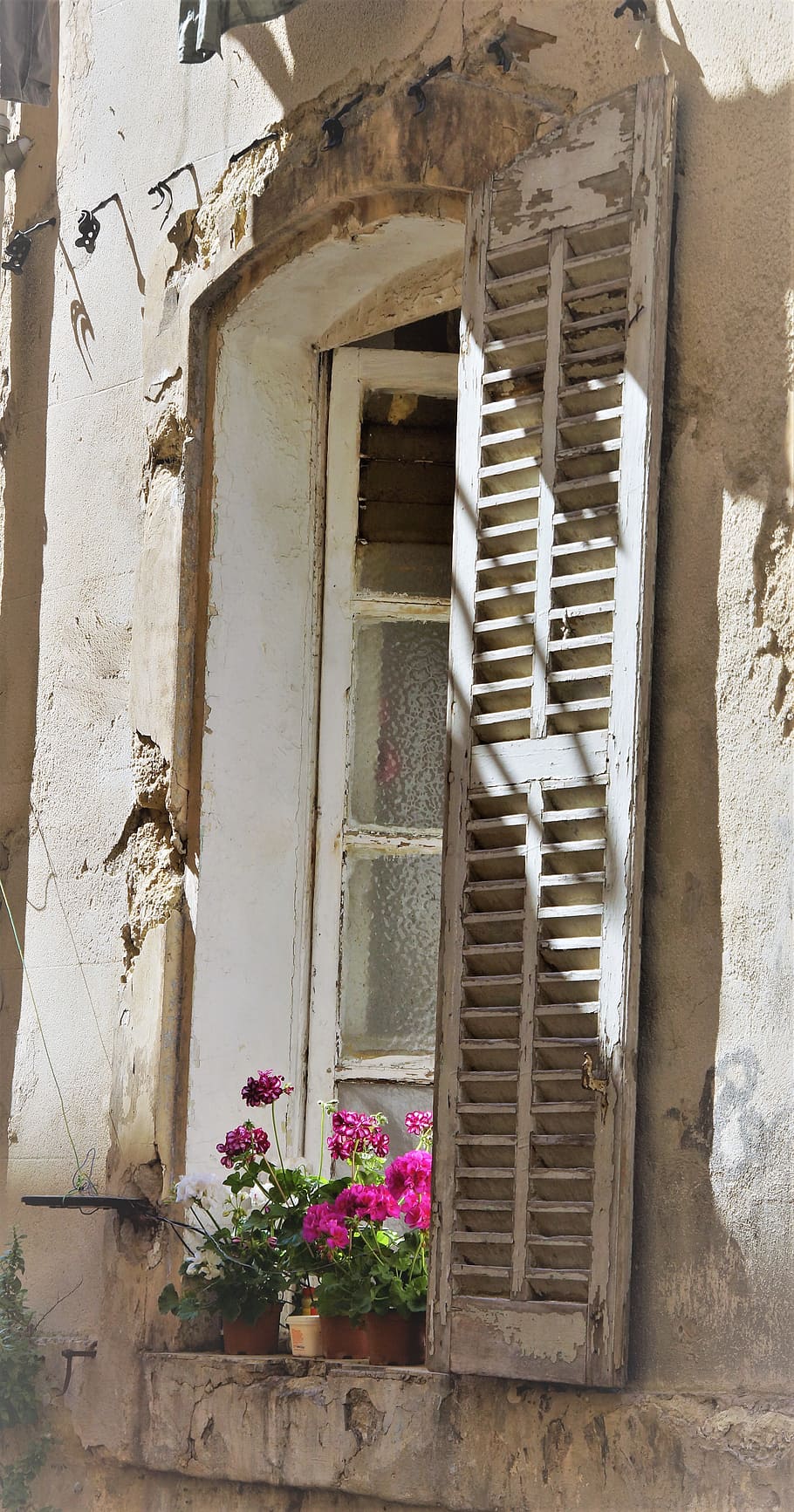 window, old, building, shutter, neglect, plants, flowers, sill HD wallpaper