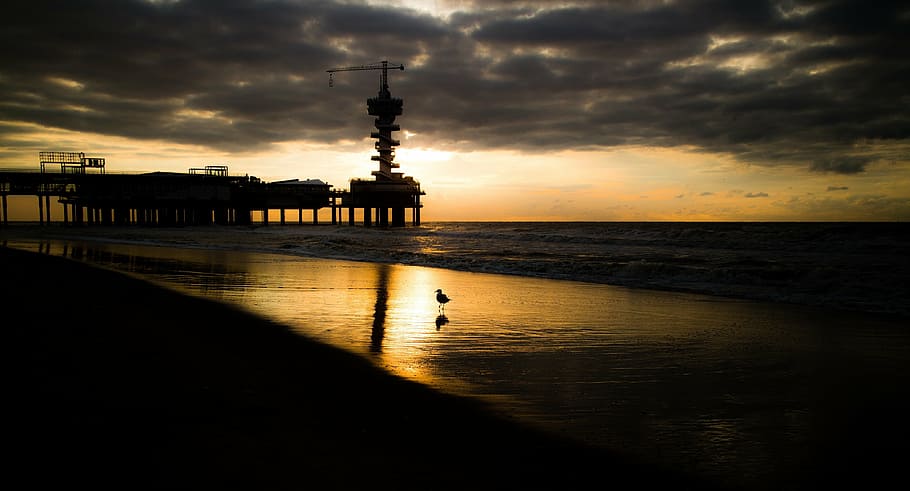 seascape, sunset, clouds, beach, coast, dock, crane, seagull HD wallpaper