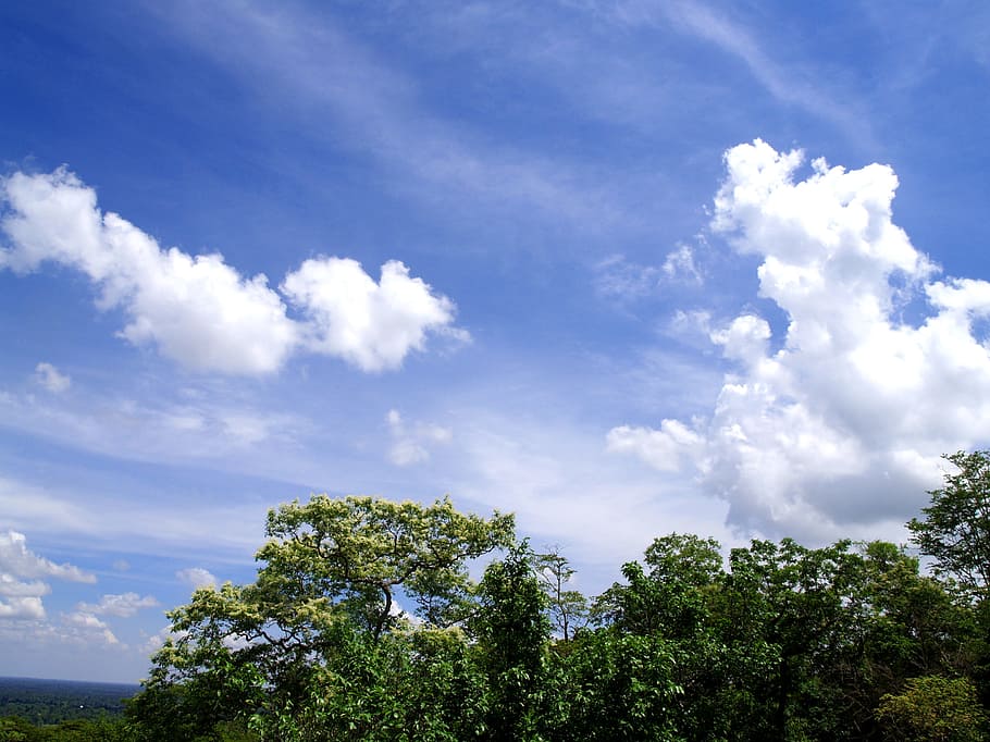 nature, sky, clouds, trees, bright, daylight, environment, heaven, HD wallpaper