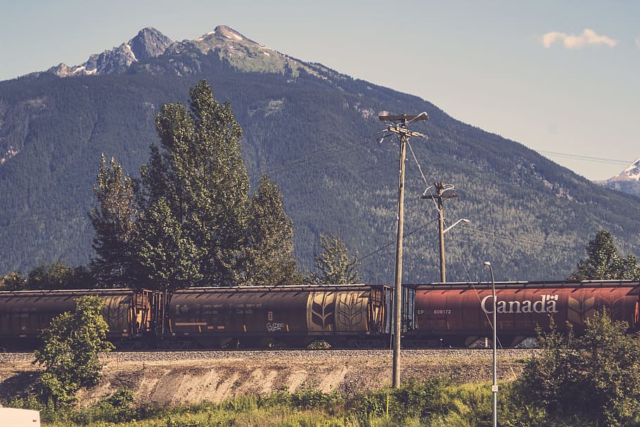 brown and red train at daytime, Canada train passing trough poles HD wallpaper