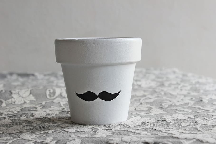Vase, Paste, Plant, Pot, drink, no people, studio shot, drinking glass HD wallpaper