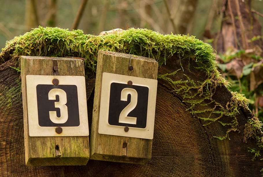shield, directory, forest, trail, moss, green, away, landscape HD wallpaper