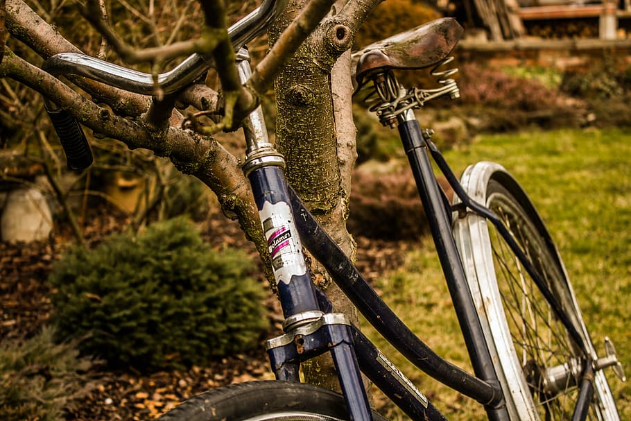 round, cycling, retro, summer, travel, bicycle, transportation HD wallpaper