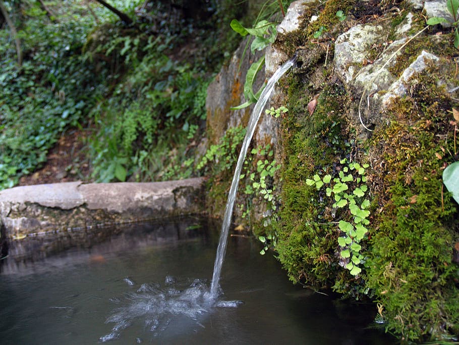 source, water, jet, cano, pylon, freshness, nature, moss, basin HD wallpaper