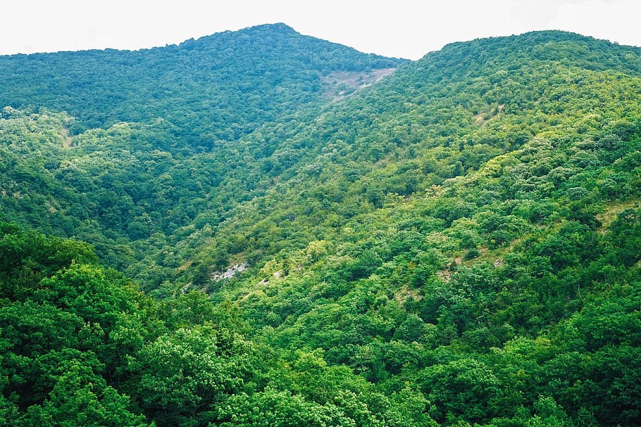 green mountain during daytime, mountains, summer, greens, trees HD wallpaper