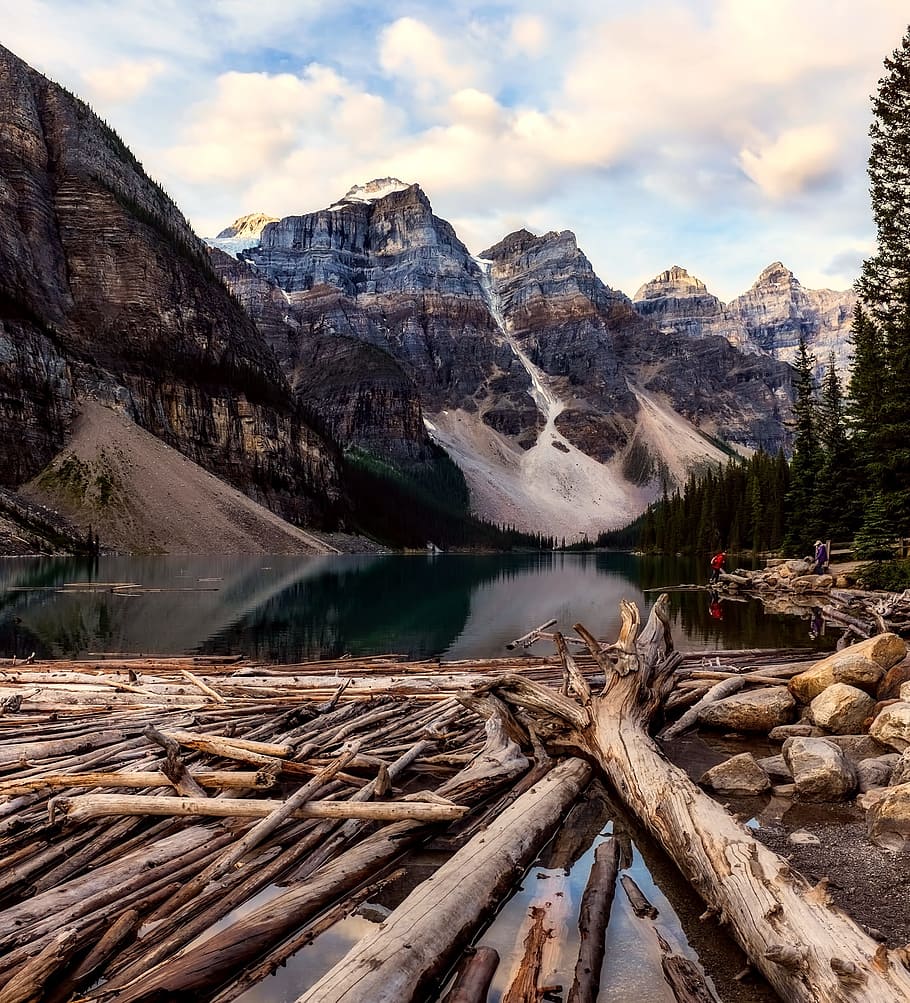 banff national park, canada, deadwood, timber, lake, mountains, HD wallpaper
