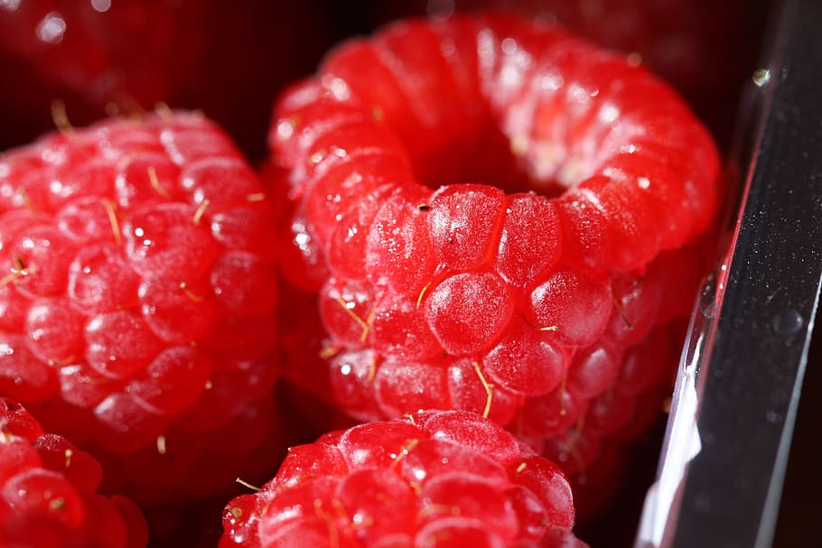 raspberry, macro, vitamin, bio, summer, red, fresh, health HD wallpaper
