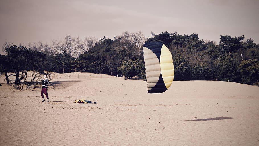 nature, sky, person, flying, forest, kite, playing, sand, trees HD wallpaper