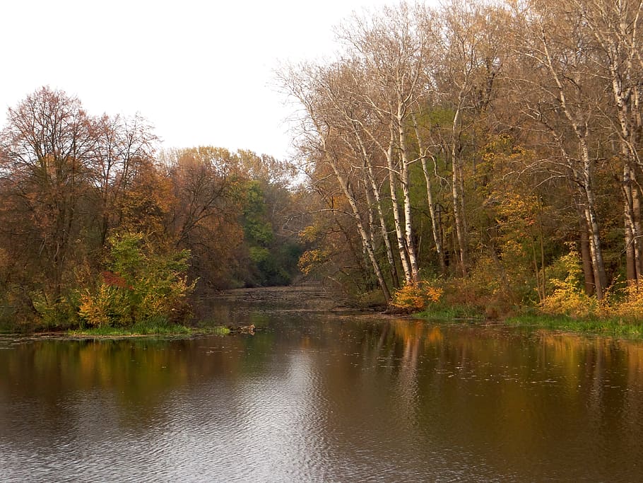 autumn, lake, water, reflection, colors, yellow leaves, nature HD wallpaper
