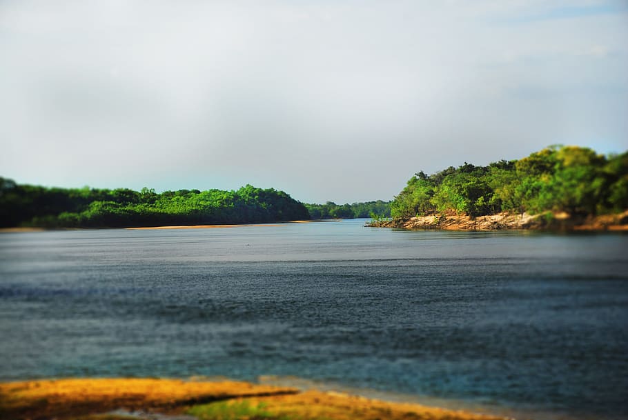 Venezuela, Rush, cinaruco, nature, no people, scenics, sky HD wallpaper