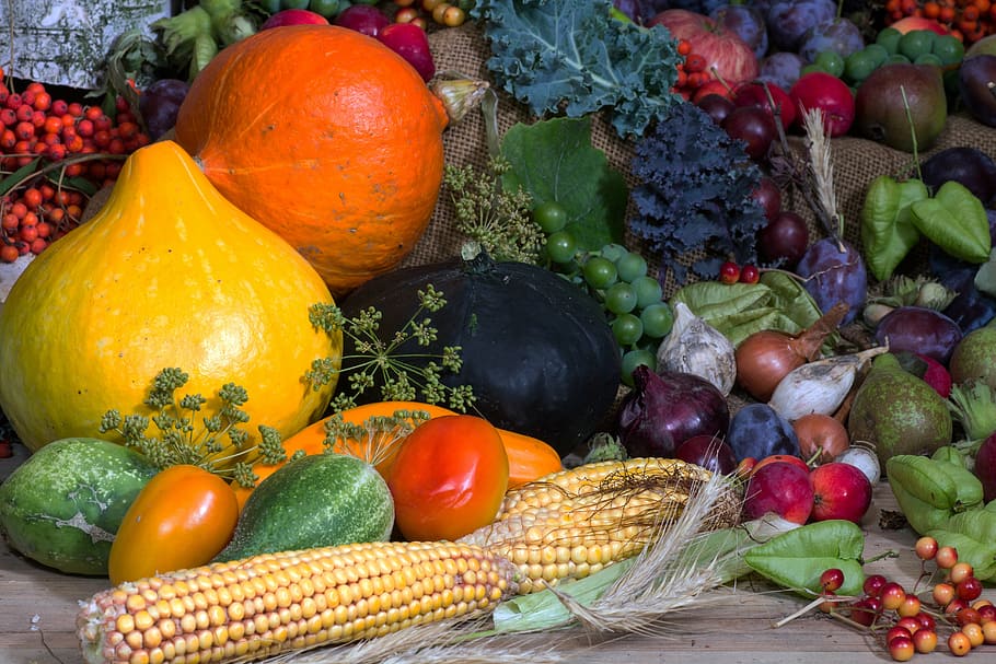assorted gourds and vegetables, still life, fruit, cucumbers HD wallpaper