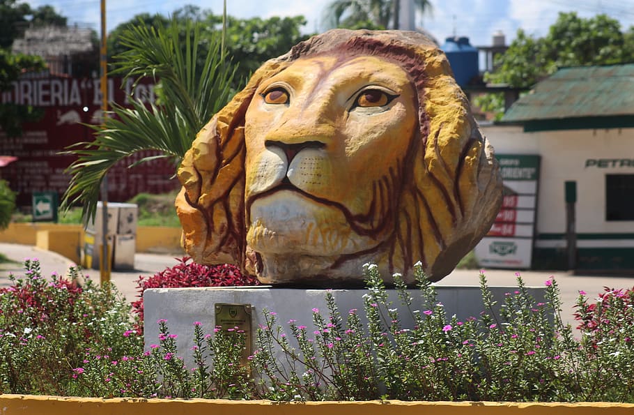 leon, sculpture, arts, monument, stone, representation, art and craft HD wallpaper