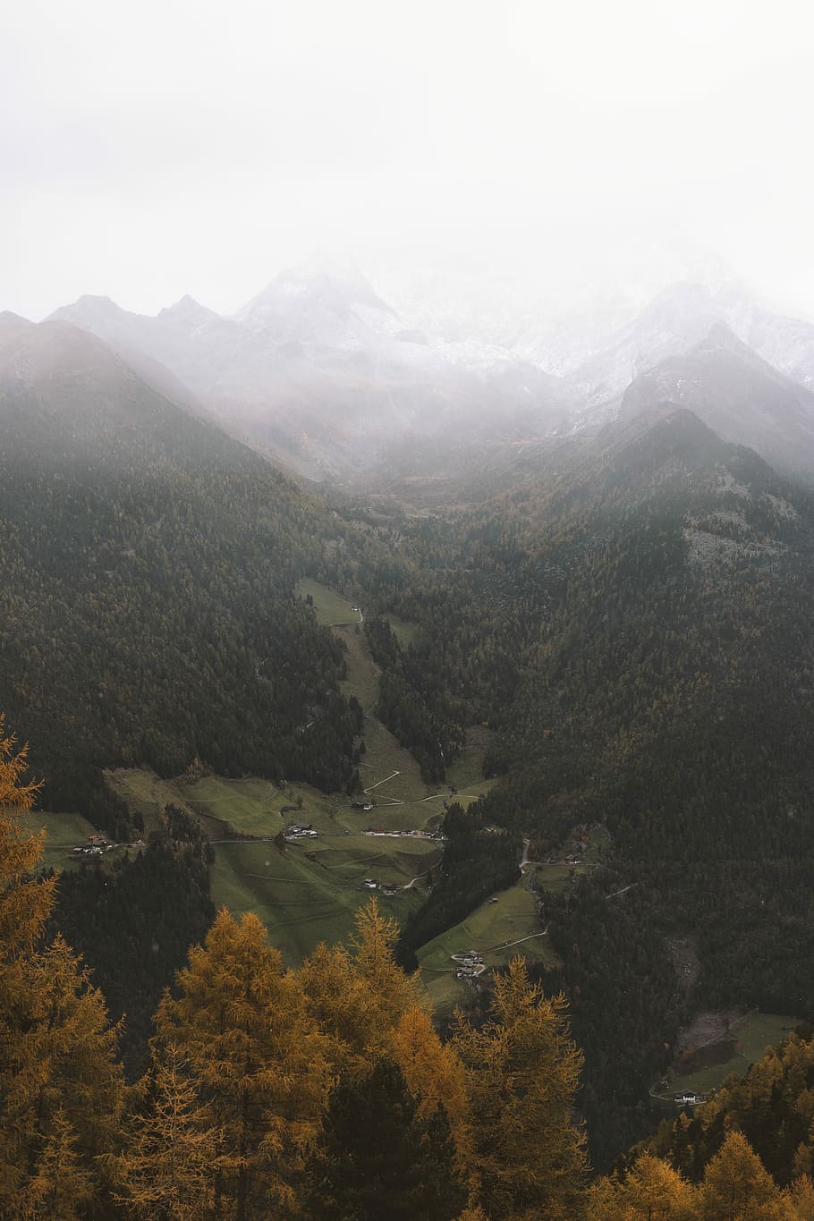 photo of green highlands, photo of forest covered valley with mist HD wallpaper